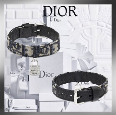 dior pet accessories